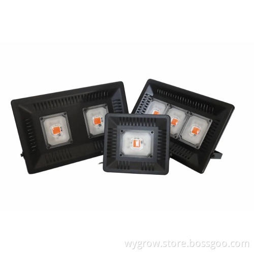 Factory direct Price 50W IP67 Cob Grow Lights